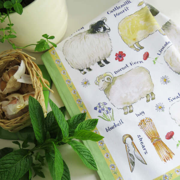 Sheep Breeds Cotton Tea Towel - Alternate