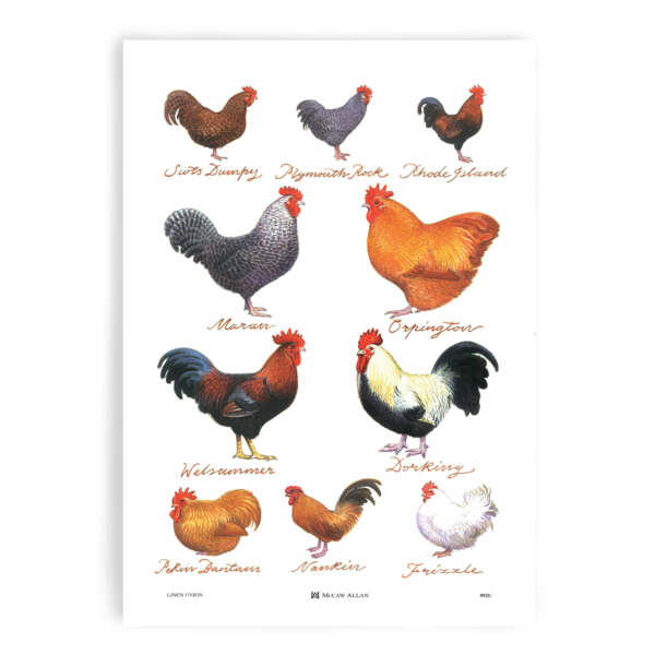 Chicken Breeds Tea Towel - Alternate