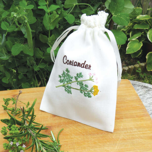 Buy Online El The Cook Coriander Seeds | Lab Tested for Purity | Resealable  Bag, Non-GMO Verified Projec - Zifiti.com 1090766