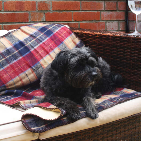 Red Country Lodge Tweed Lap Blanket